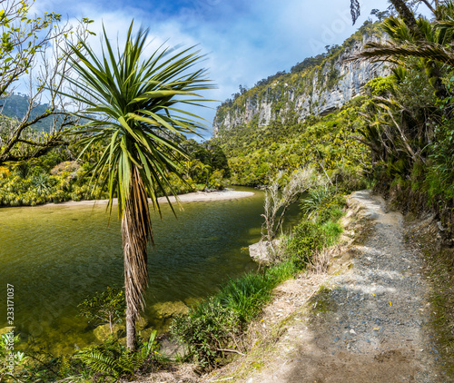 Porarari river track near Punakaiki, West Coast, South Island, New Zealand