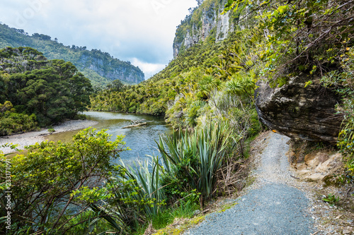 Porarari river track near Punakaiki  West Coast  South Island  New Zealand