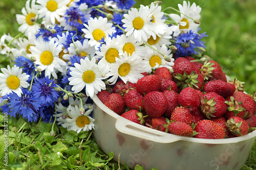 Fototapeta Naklejka Na Ścianę i Meble -  Daisies and strawberries