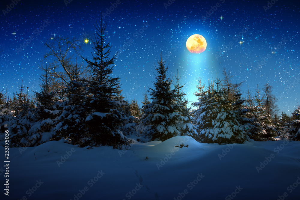 Christmas background with stars and big moon in winter forest. Christmas background with stars and big moon in winter forest.