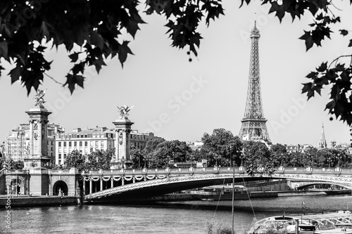 Pont Alexandre III Bridge with Eiffel Tower. Paris, France