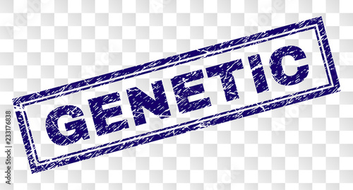 GENETIC stamp seal watermark with rubber print style and double framed rectangle shape. Stamp is placed on a transparent background. Blue vector rubber print of GENETIC text with unclean texture.