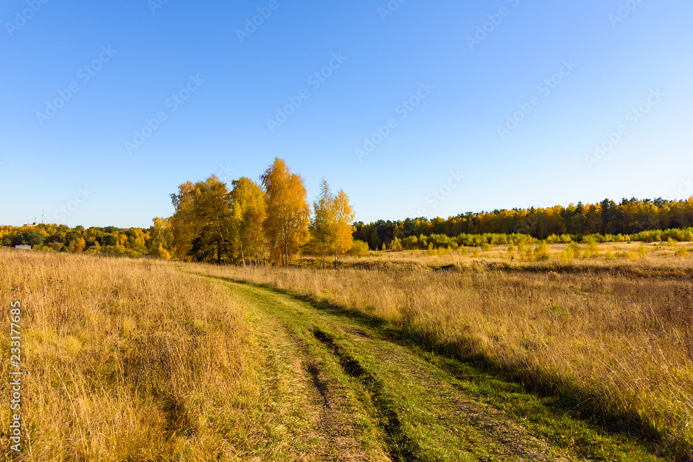 Naklejka premium dirt road in a field