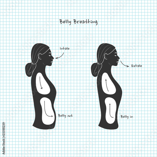 Belly Breathing. Vector.