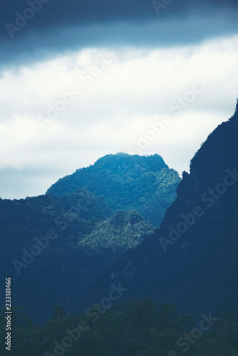 view of tropical forest wit...
