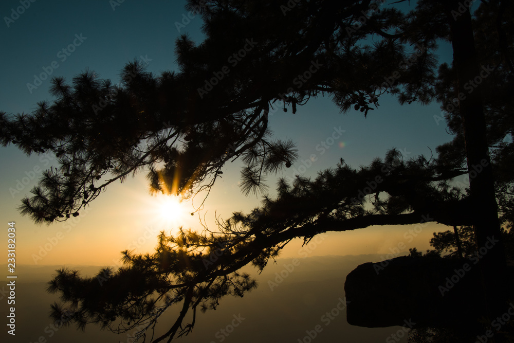 Sunset in the park at Phu Kradueng Mountain in Thailand