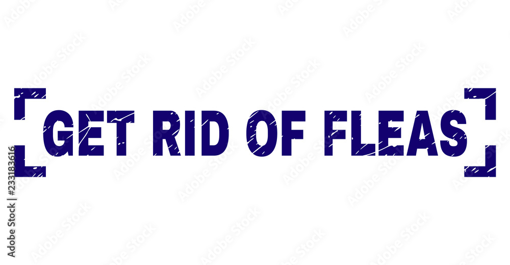 GET RID OF FLEAS text seal print with grunge texture. Text tag is placed inside corners. Blue vector rubber print of GET RID OF FLEAS with dirty texture. GET RID OF FLEAS text seal print with grunge texture. Text tag is placed inside corners. Blue vector rubber print of GET RID OF FLEAS with dirty texture.