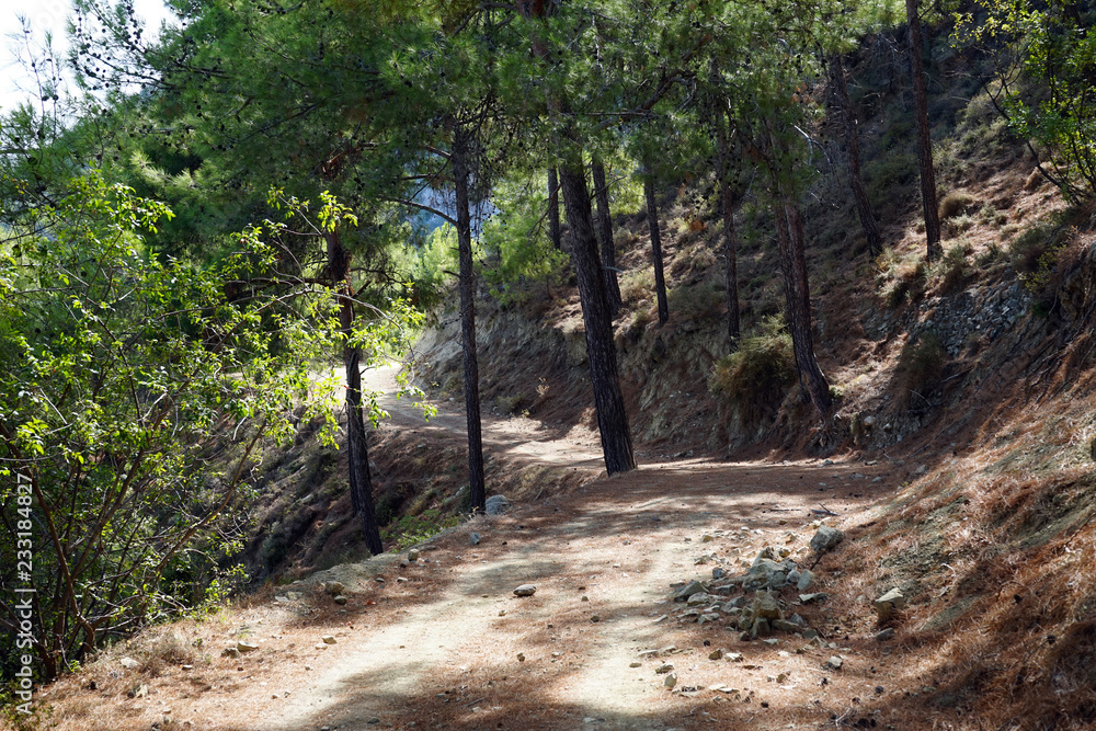 Fototapeta premium Dirt road