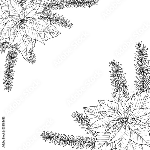 Frame with Christmas bouquets made of fir, poinsettia and leaves.