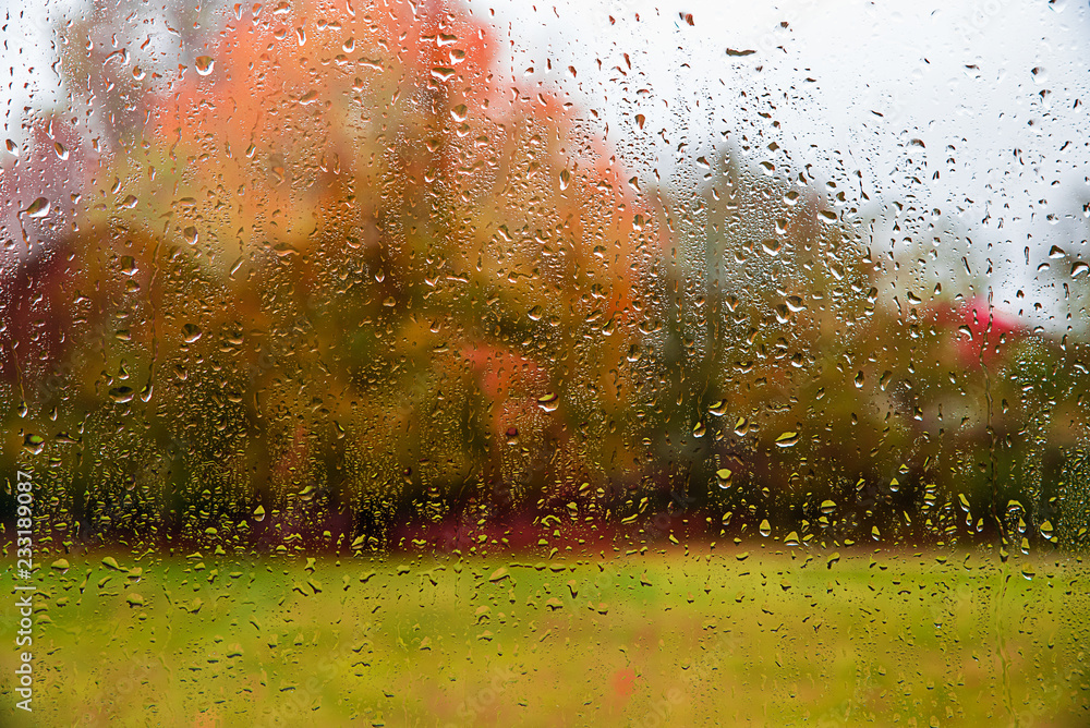 Fototapeta premium Autumn rainy day