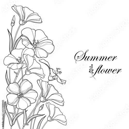 Vector corner bouquet with outline Flax plant or Linseed or Linum. Flower bunch, bud and leaf in black isolated on white background. Ornate contour Flax for summer design and coloring book. 