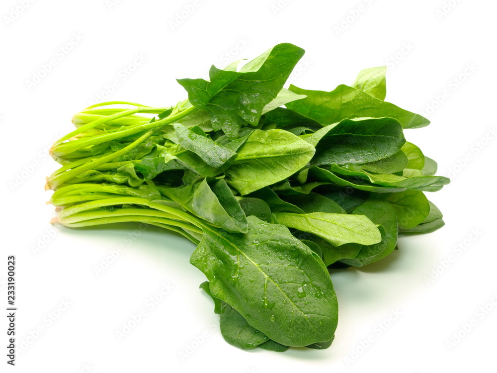 Spinach isolated on white with natural shadows Spinach isolated on white with natural shadows
