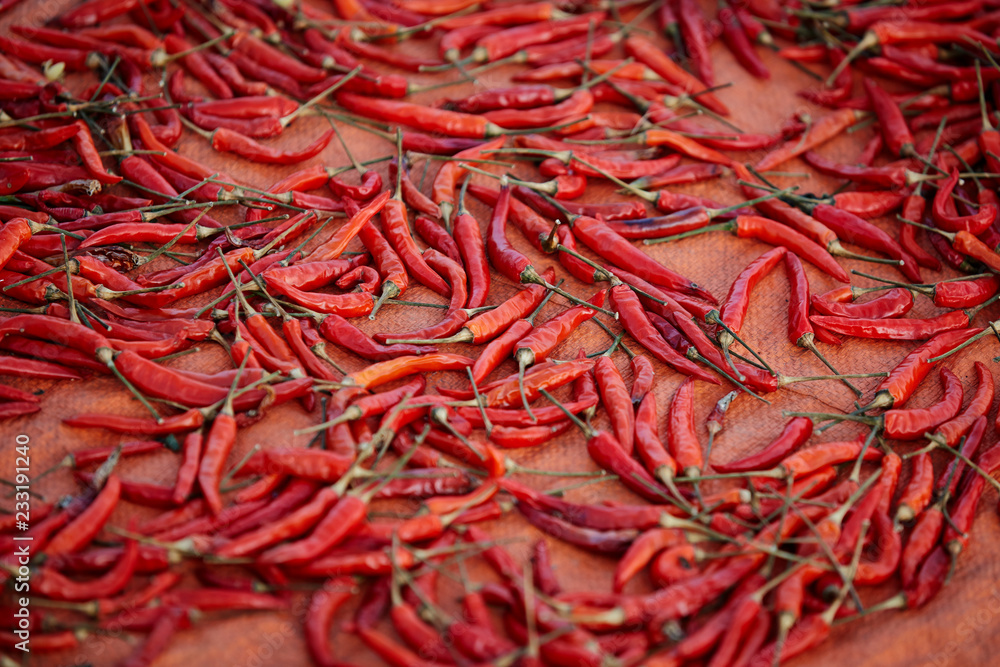 Fototapeta premium Red chili pepper 
