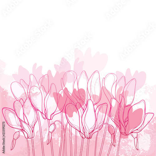 Vector bouquet with outline Cyclamen or Alpine violet flower bunch and bud in pink on the pastel textured background. Perennial Alpine mountain flowers in contour style for spring design.