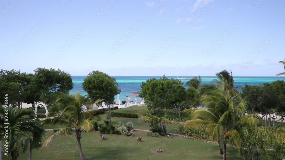 Beautiful Coconut palms and path to the Blue Atlantic Ocean beach in Holguin district of Cuba - October 31 2108. Beautiful Coconut palms and path to the Blue Atlantic Ocean beach in Holguin district of Cuba - October 31 2108.