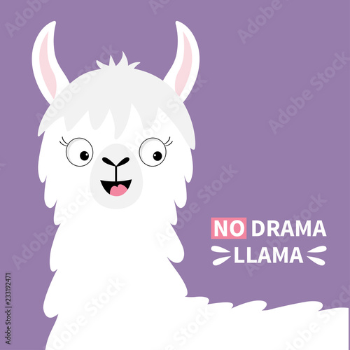 No drama Llama alpaca happy head face. Cute cartoon funny kawaii smiling character. Childish baby collection. T-shirt, greeting card, poster template print. Flat design. Violet background.