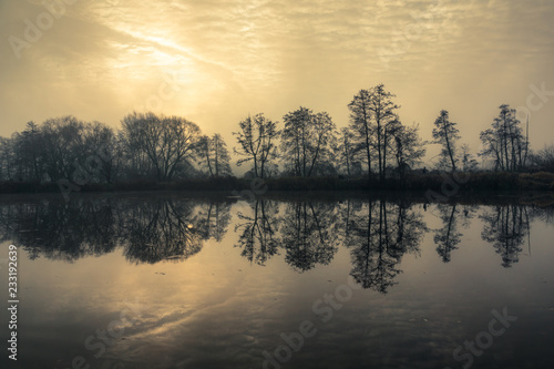 Trees and reflection in pond in Zalesie Dolne near Piaseczno, Poland