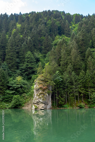 lake in deep forest