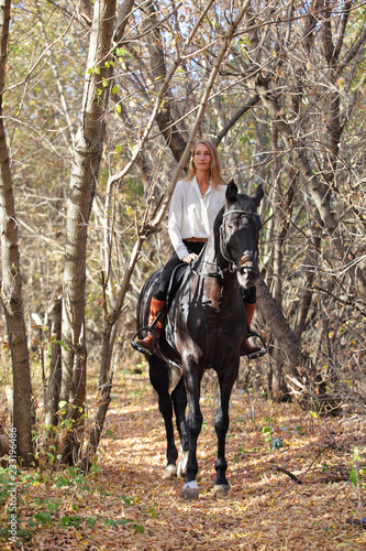 Horseback - woman riding a horse. Horse and equestrian model girl in autumn yellow woods