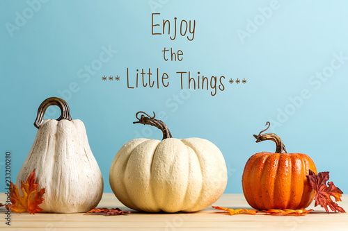 Enjoy the little things message with pumpkins on a blue background