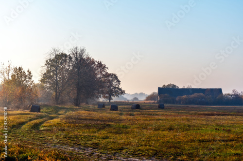 Fototapeta Naklejka Na Ścianę i Meble -  Abstract autumn rural landscape in the foggy morning.