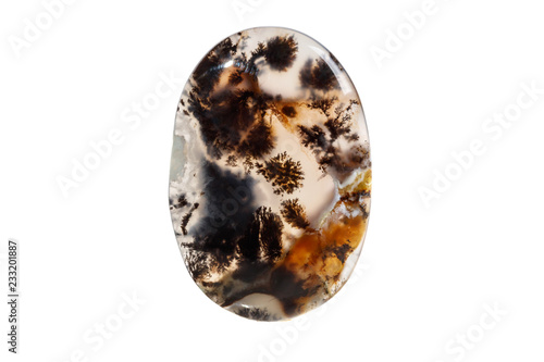 Bilde på lerret Macro mineral stone Moss Agate, Agata muschiataan