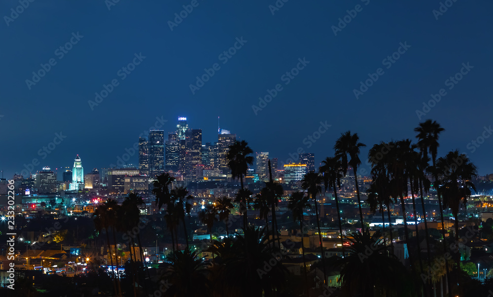 Aerial view of the Downtown LA skyline with palm trees in the foreground Aerial view of the Downtown LA skyline with palm trees in the foreground