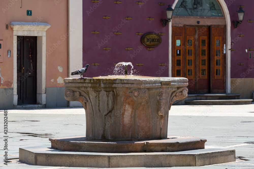 fountain with pigeon at a mediterranean square fountain with pigeon at a mediterranean square