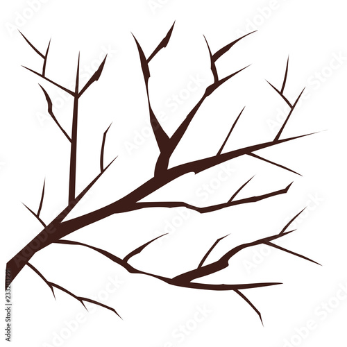 brown branch of tree isolated on white
