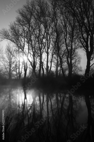 Black and white photograph of a misty river, which reflects the silhouettes of bare trees, backlighting. Fog over water. Gloomy shadows on the shore