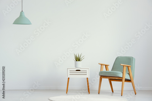 Plant on cabinet next to green wooden armchair in flat interior with lamp and copy space. Real photo