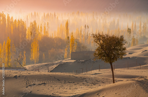 Sand desert at skardu. Northern Area Pakistan photo