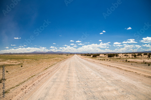 ボリビアの道