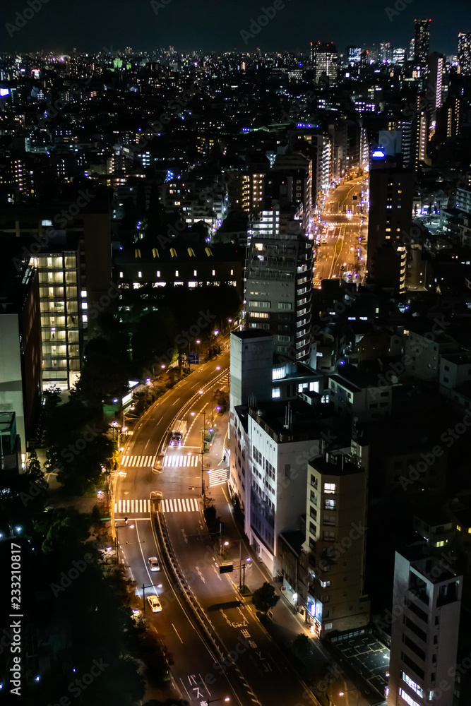 Tokyo night view with light trails on a road, shot from an observation deck in Bunkyo district - obrazy, fototapety, plakaty 