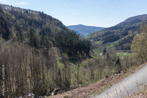 Schwarzwald bei Todtnauberg
