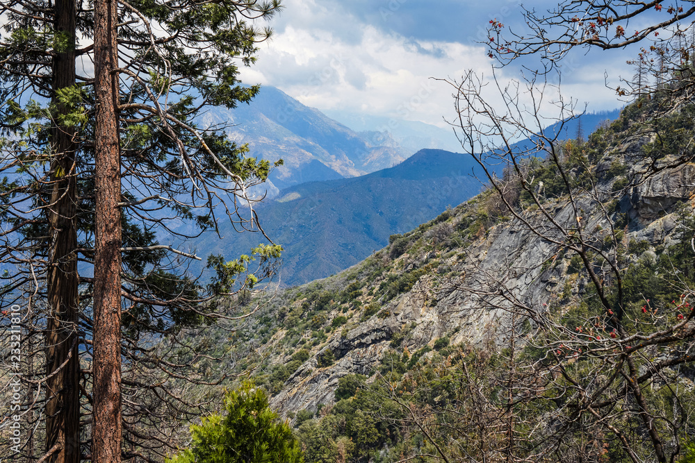 Mountain Serpentine in Sequoia National Park, California, USA