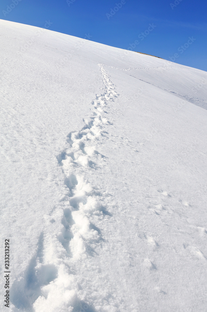 footprint on the hill covered with snow under blue sky