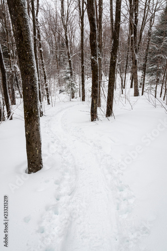 Snowshoeing in a national park trail in Canada © RLS Photo