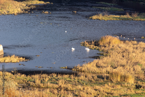 Fototapeta Naklejka Na Ścianę i Meble -  Beskidy Żywieckie
