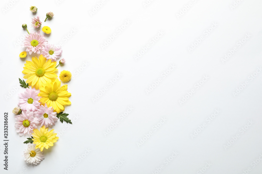 Beautiful chamomile flowers on white background, flat lay with space for text