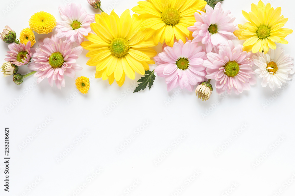 Beautiful chamomile flowers on white background, flat lay with space for text Beautiful chamomile flowers on white background, flat lay with space for text