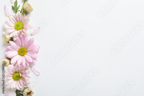 Beautiful chamomile flowers on white background, flat lay with space for text © New Africa