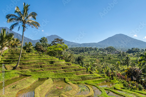 Bali Rice Terraces. The beautiful and dramatic rice fields of Jatiluwih in southeast Bali have been designated the prestigious UNESCO world heritage site.