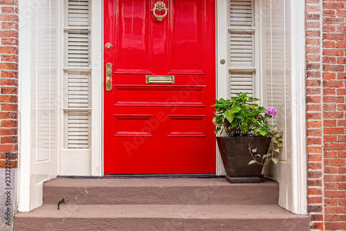  red door and potted plant on the steps. residence front entrance