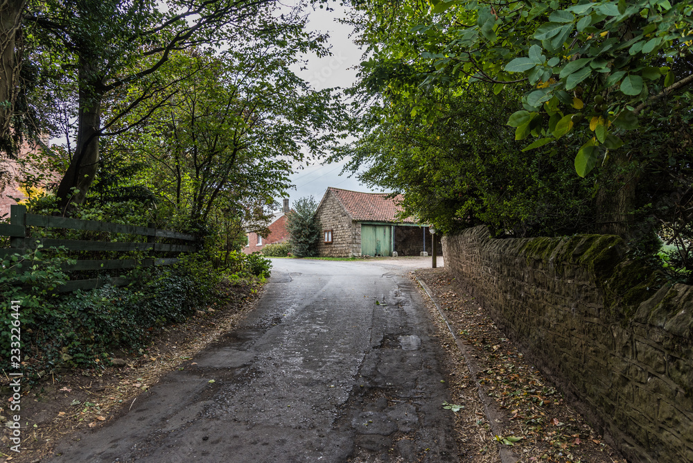 Through the hamlet Through the hamlet