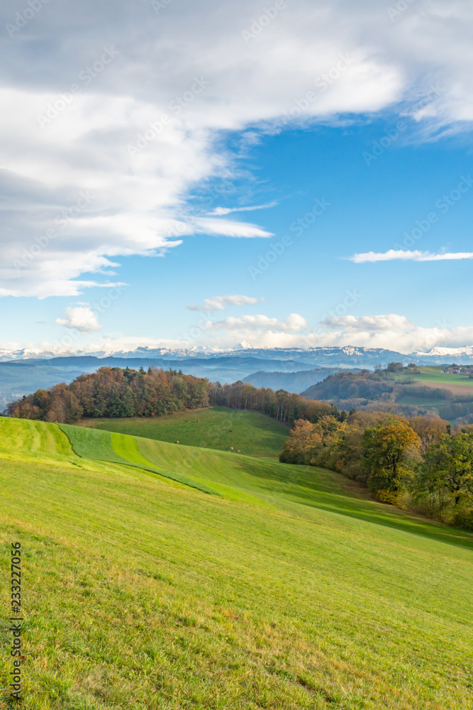 Fototapeta premium Wanderweg entlang eines Feldes mit Blick auf die Schweizer Alpen