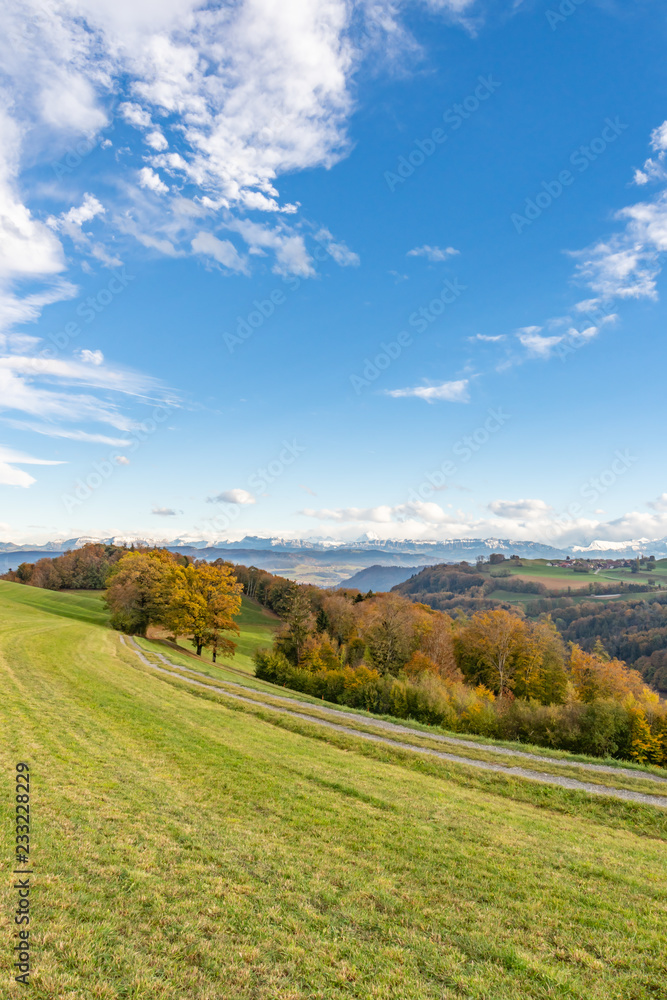 Wanderweg entlang eines Feldes mit Blick auf die Schweizer Alpen