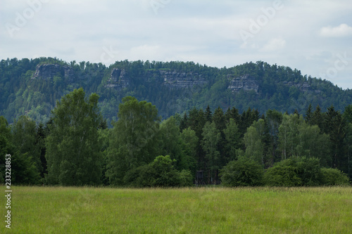 Landscape in mountains in Czech Switzerland national park, pine forest and rocks 