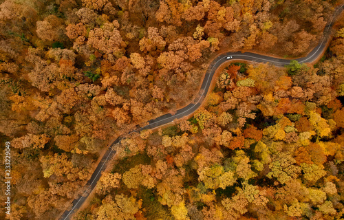 Aerial view at the road in autumn forest
