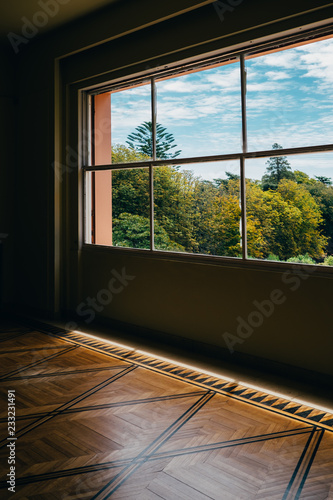 WINDOW FOREST photo